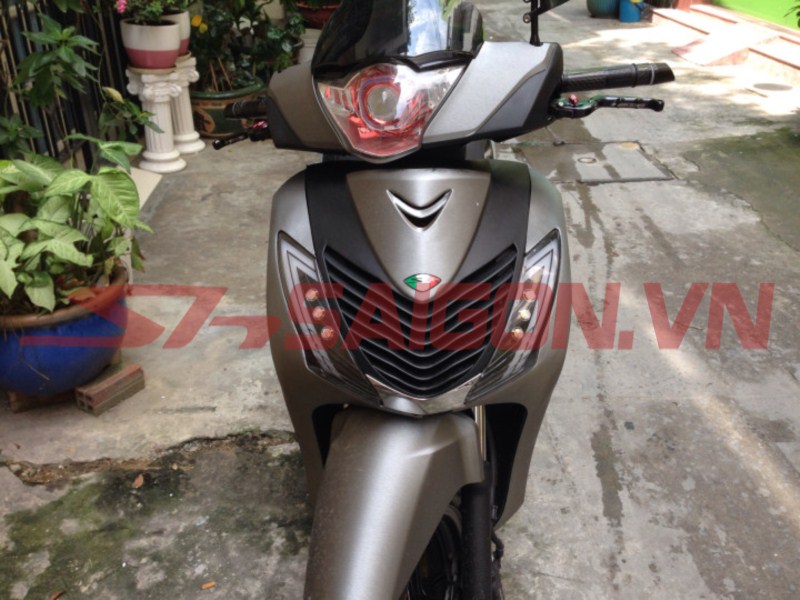 dan-tem-trum-doi-mau-xe-sh-006